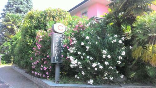 Hotel Il Corallo Snc