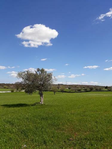 Enjoytrulli - Countryside