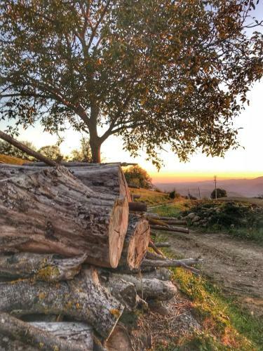 Agroturismo La Tana Del Picchio
