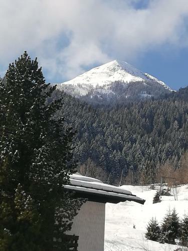 Hostal Affittacamere Di Scavoni Paolo