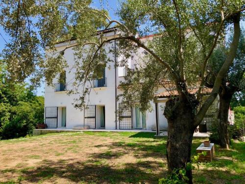 Bed & Breakfast Ponteronico Resort