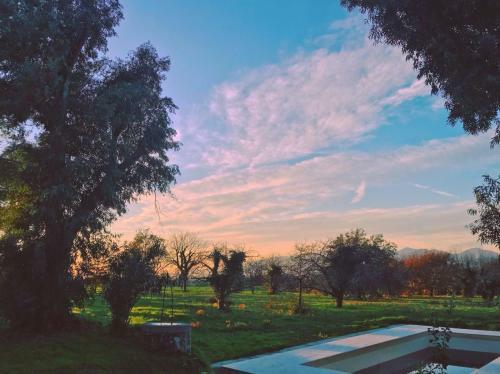 Bed & Breakfast Ponteronico Resort