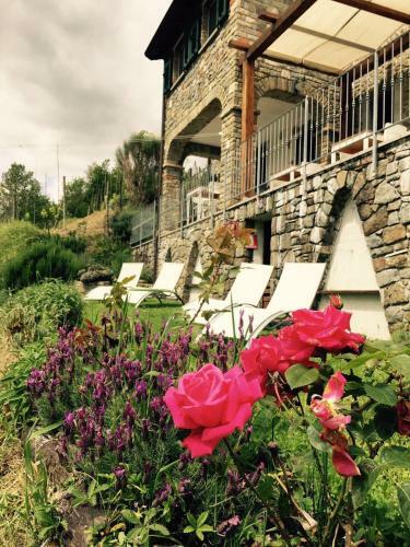 B&B Angi� Nel Cer�