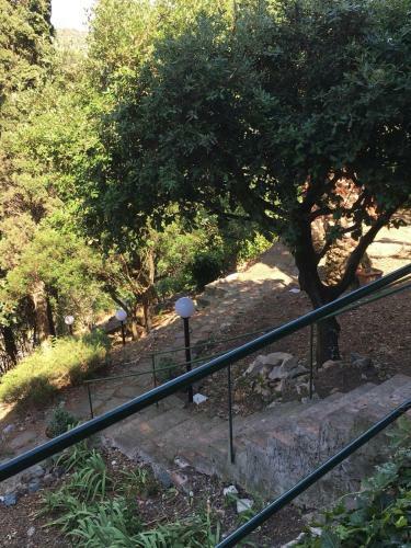 Apartamento Casa Monella