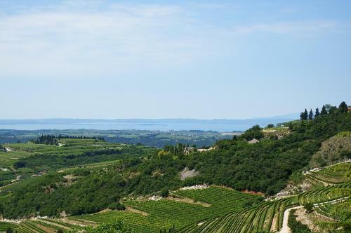 Porta Della Torre Bed & Breakfast