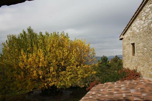 Hostal Nativo
