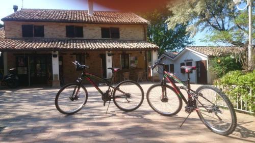 Apartamento Bubo-immerso-tra-gli-alberi