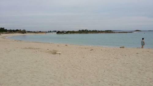 Hostal Salsedine