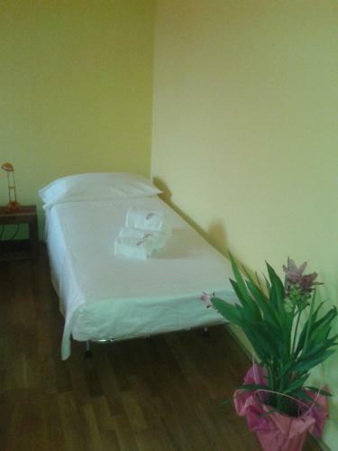 Bed & Breakfast Friulmarangon
