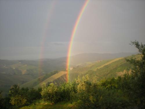 Fonte Pecorale