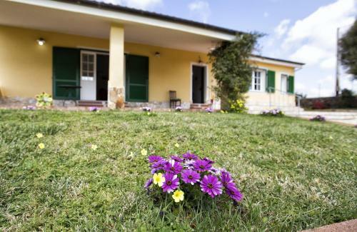 Villa Raimonda