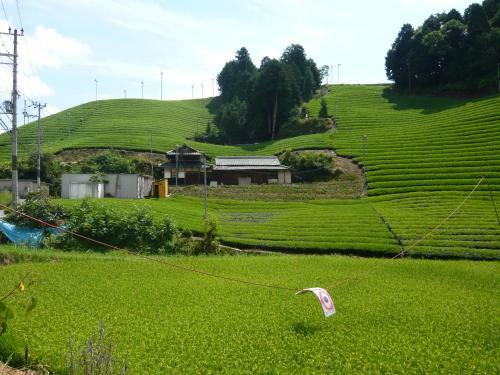 Kyoto Wazukaso