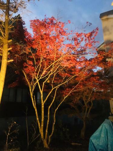 Hostal Onsen Guest House Yasumori