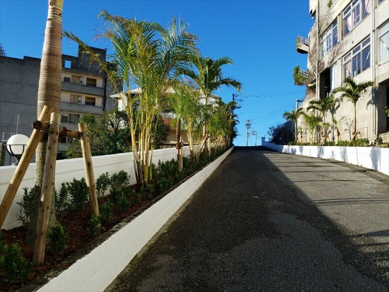 Motel Hotel Palm Tree Hill