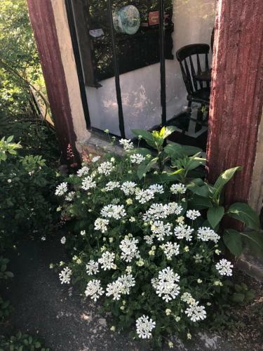 Bed & Breakfast Dreamton Village