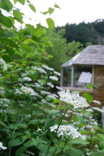 Bed & Breakfast Dreamton Village