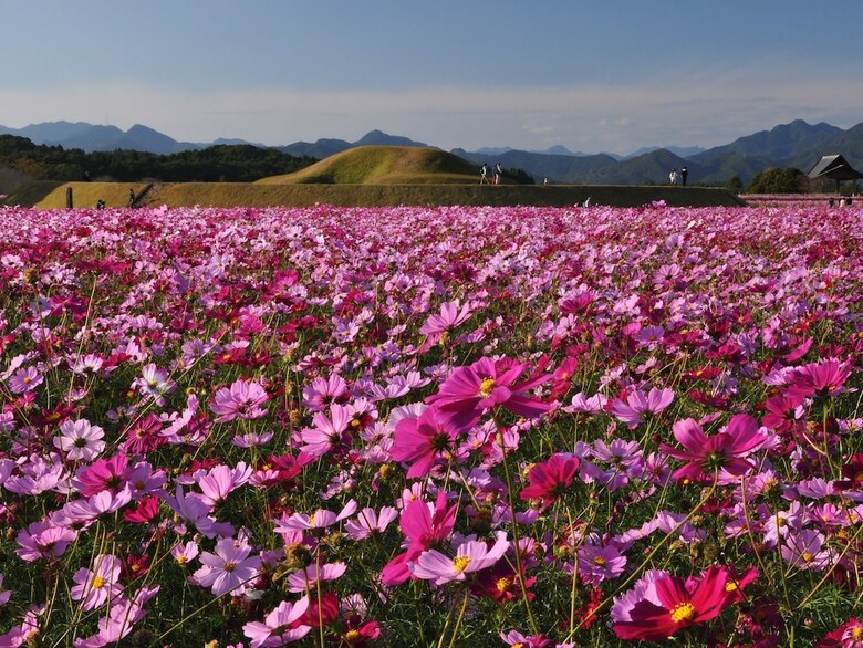Apa Hotel Miyazaki Nobeoka Ekimae