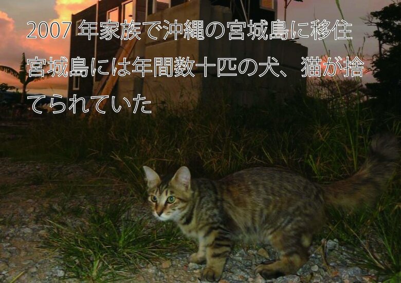 Lodge Okinawa Freedom