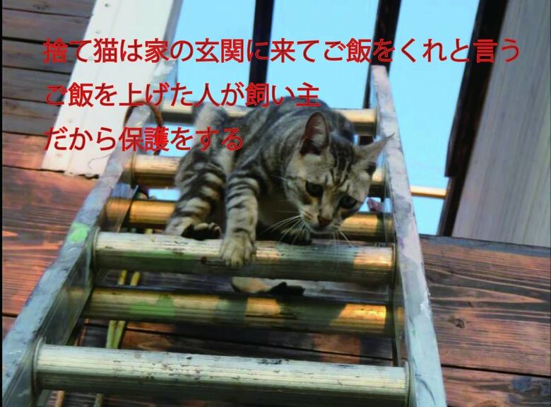 Lodge Okinawa Freedom