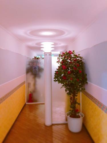 Hotel Elegance (love Hotel)