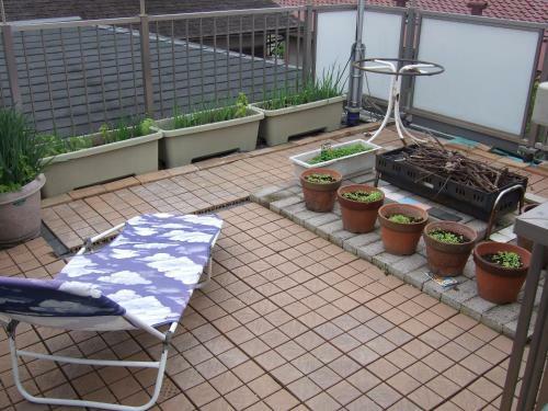 Hostal Tomy&tetu