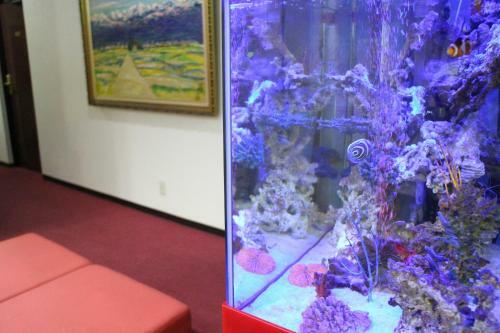Business Hotel Raicho