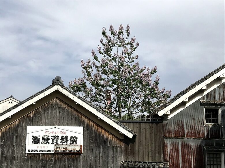 Hostal Suikomareso