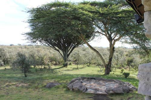 Hostal Shwari Cottages