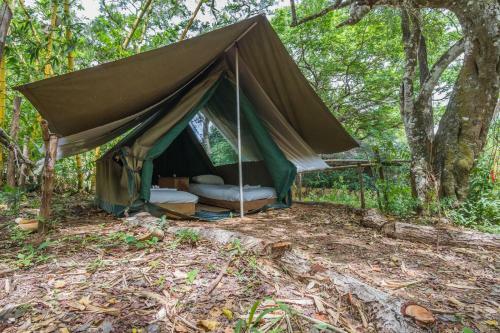 Distant Relatives Ecolodge & Backpackers