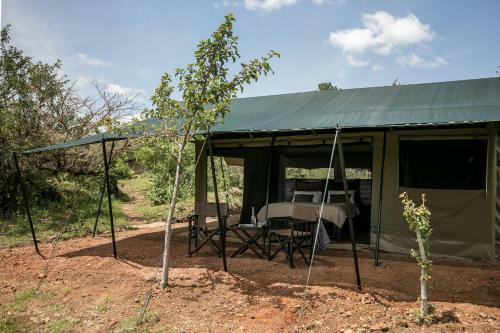 Wilderness Camp