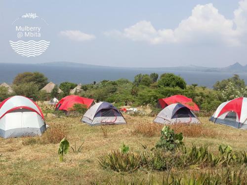 Lodge Mulberry Glamp