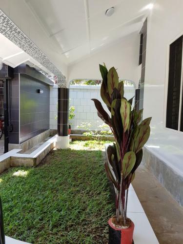 Apartamento Madiba One Cottages
