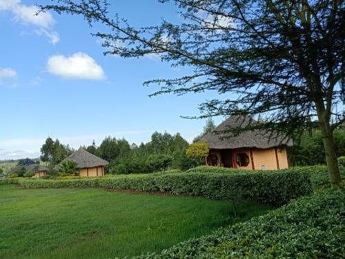 The Great Circle Lodge