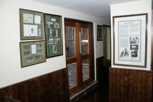 Lodge Treetops
