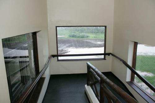 Lodge Treetops