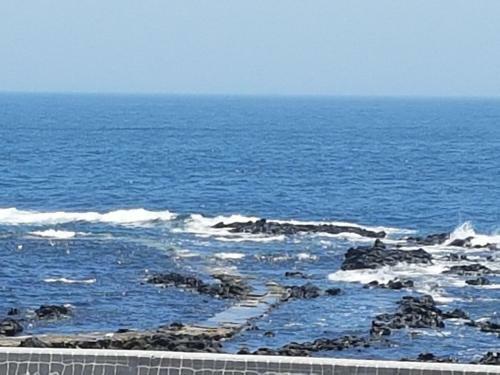 Jeju Amoze