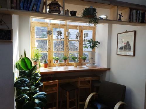 Hostal Time Traveler Relax Hongdae