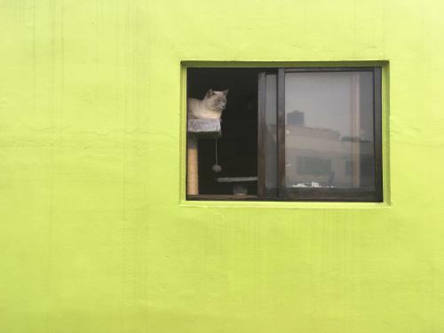 Albergue Busan Backpackers