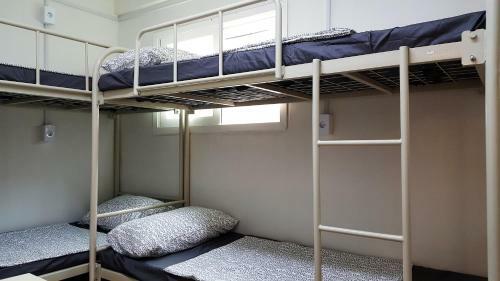Hostal Lvia Guesthouse
