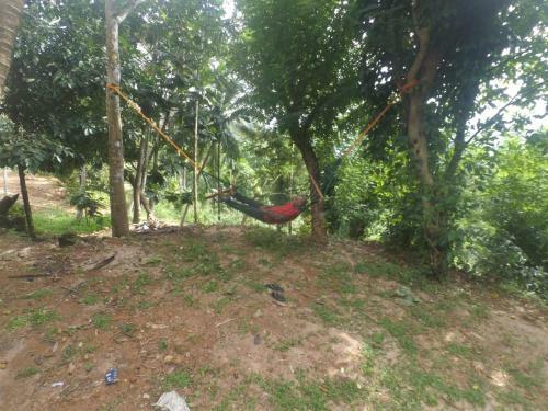 Hotel Sobakee Hill Resort Sri Lanka