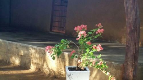 Mereiyans Villa Eco Cottage