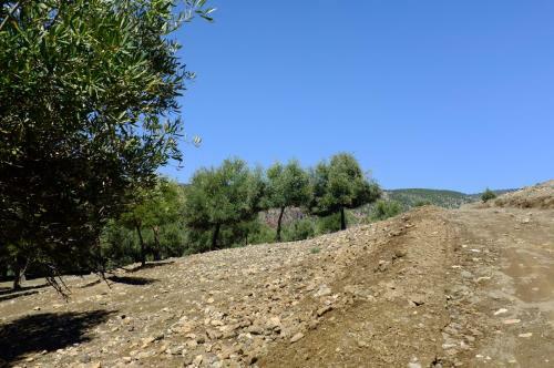Riad Cascades D'ouzoud