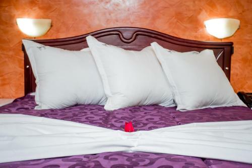 Hotel H�tel Les Ambassadeurs