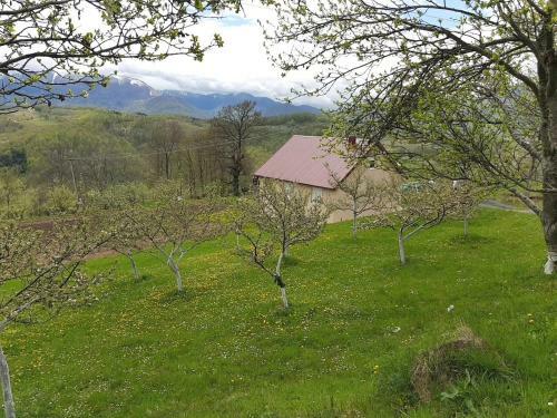 Lodge Country House Montenegro