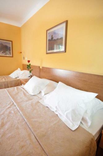 Hotel Wgrand