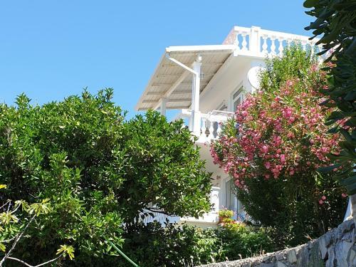 Vukmanovic Apartments