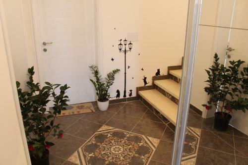 Apartmani Pogled