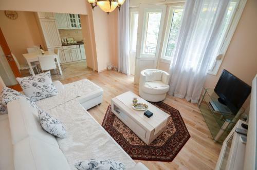 Central Apartment