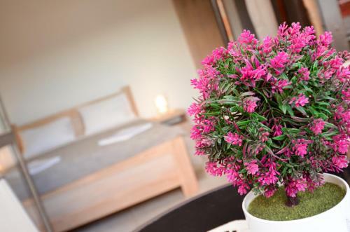 Apartments Risan Center