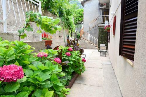Apartments Risan Center